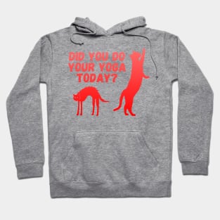 Did you do your yoga today? | Cat stretching design Hoodie